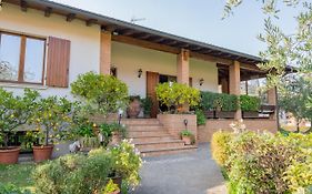Ulivi B&B